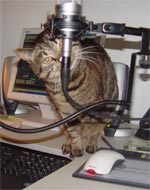 Buster at work on the BPS show